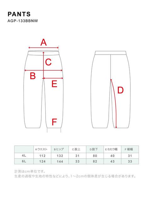 ASHGREEM スノーボードウェア 4XL 6XL キングサイズパンツ |AGP-133BB