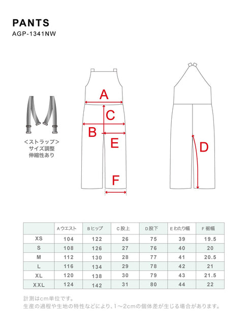 ASHGREEM スノーボードウェア オーバーカーゴパンツ | AGP-1341NW