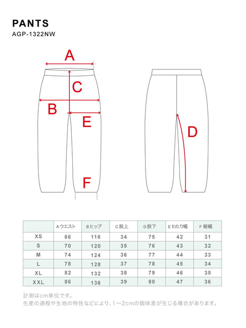 ASHGREEM スノーボードウェア 超ビッグパンツ | AGP-1322NW